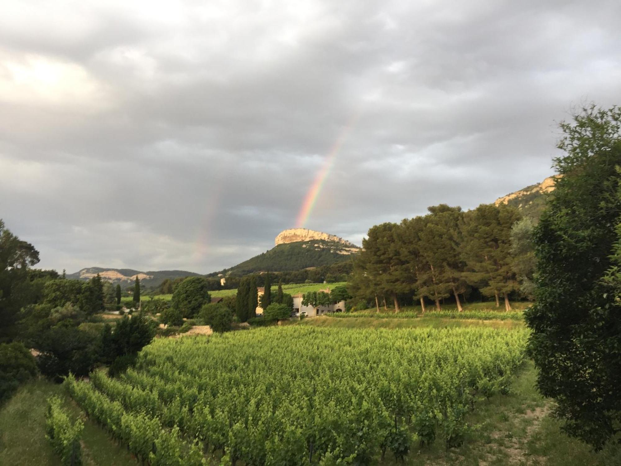 La Dependance Du Clos De La Tour Cassis